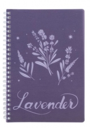  5 Axent   Lavender