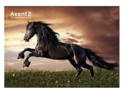   2026  1  Axent Horses