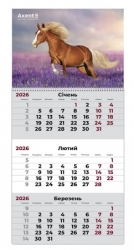   2026  1  Axent Horses