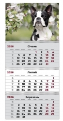   2026  3  Axent Dogs