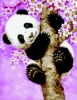 Картина по номерам Грайлива панда