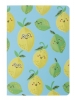  5 FRUITS