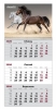   2026  1  Axent Horses