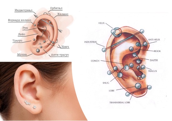 Пирсинг Уха Виды